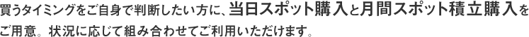 ご購入のタイミングをご自身で判断したい方に、2種類のスポット購入をご用意。状況に応じて組み合わせてご利用いただけます。